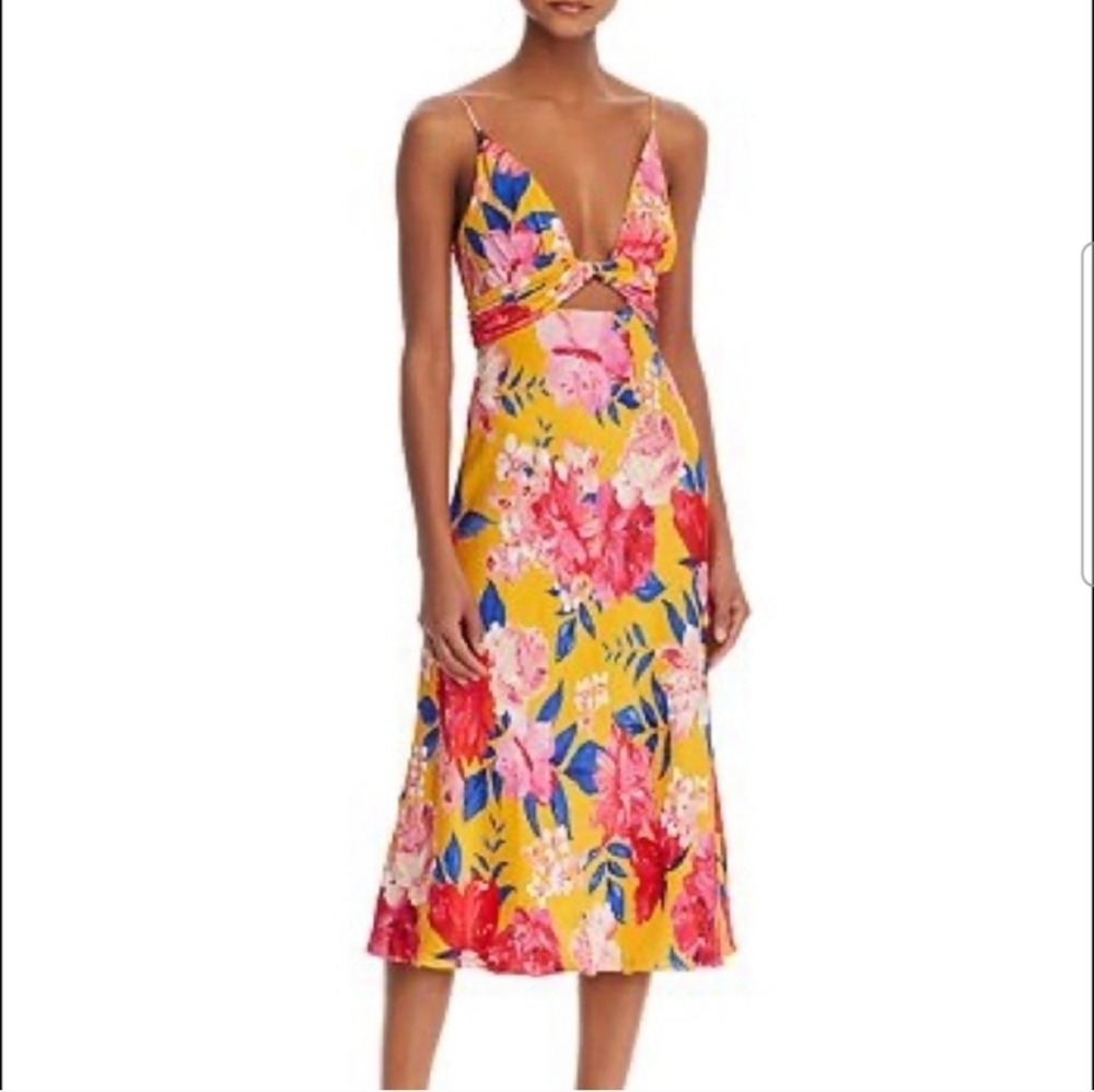 Ronny Kobo Collection Annika Floral Midi Dress Size XS